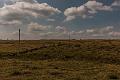 2015_08_07 (0073)